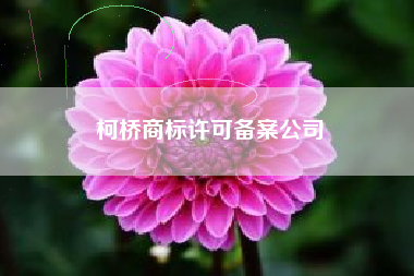 柯桥商标许可备案公司