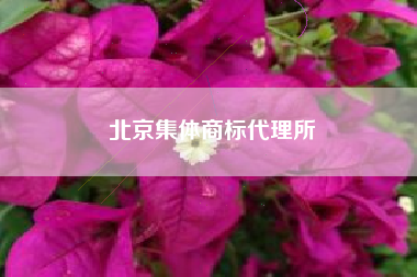 北京集体商标代理所