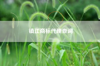 镇江商标代理查询
