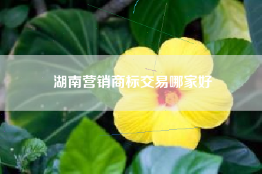 湖南营销商标交易哪家好