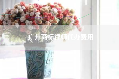 广州商标律师代办费用