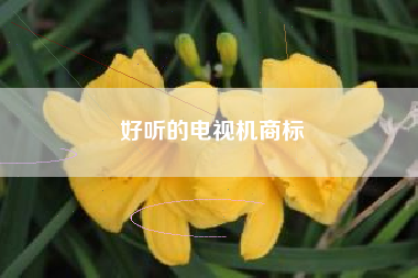 好听的电视机商标