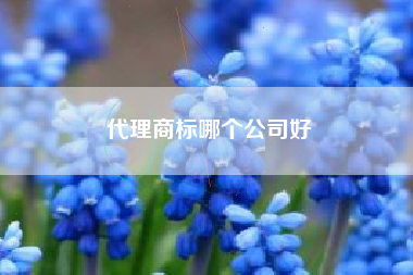 代理商标哪个公司好