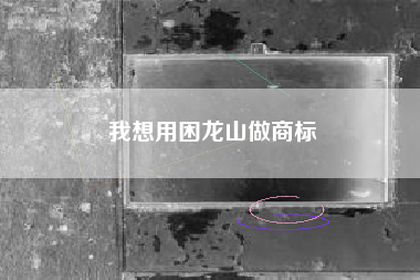 我想用困龙山做商标