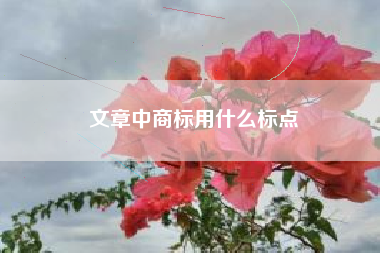 文章中商标用什么标点