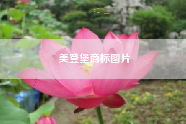 美登堡商标图片
