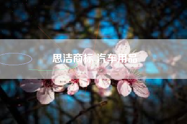 思洁商标 汽车用品