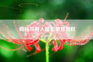 商标共有人能否单独授权