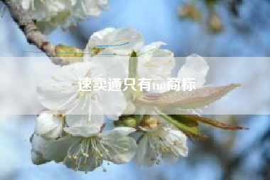 速卖通只有tm商标
