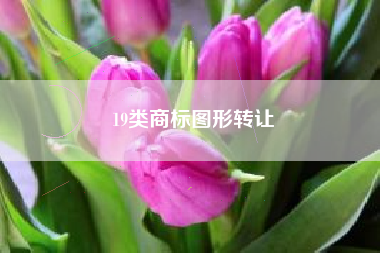 19类商标图形转让