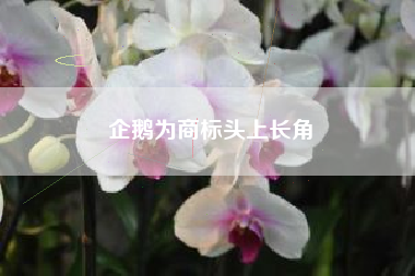 企鹅为商标头上长角