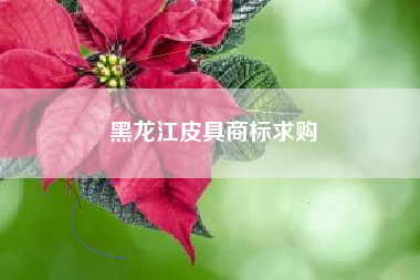 黑龙江皮具商标求购
