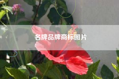 名牌品牌商标图片