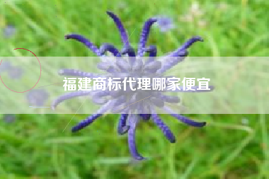 福建商标代理哪家便宜