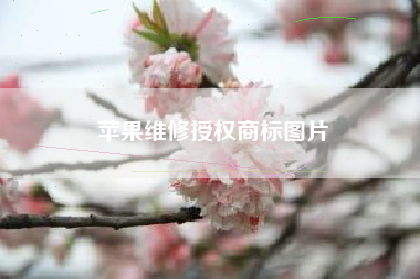 苹果维修授权商标图片