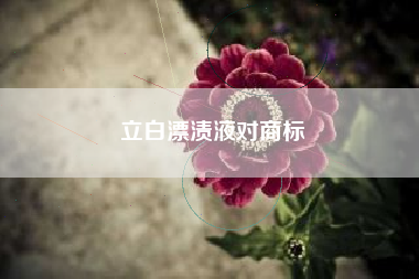 立白漂渍液对商标