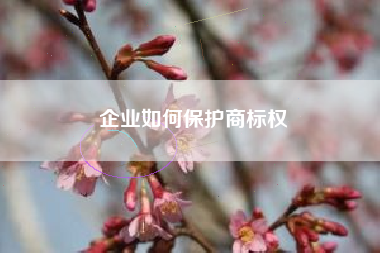 企业如何保护商标权