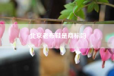 北京老布鞋是商标吗