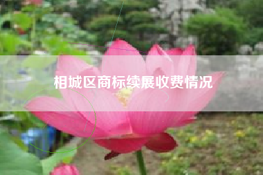 相城区商标续展收费情况