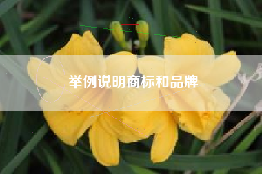 举例说明商标和品牌