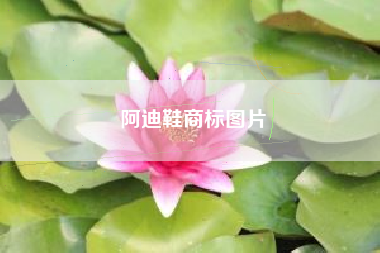 阿迪鞋商标图片
