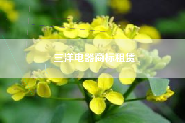 三洋电器商标租赁