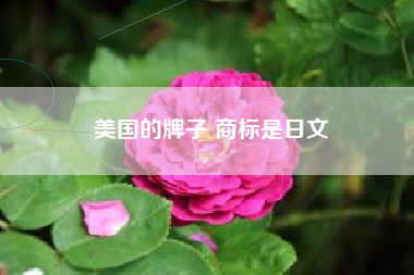 美国的牌子 商标是日文