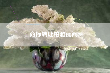 商标转让柏雅丽阁25