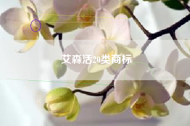 艾森活20类商标