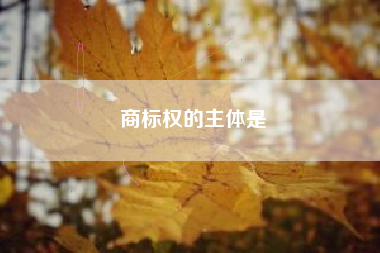 商标权的主体是