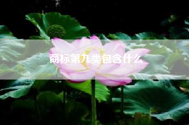 商标第九类包含什么