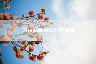 南京商标诉讼代理律师
