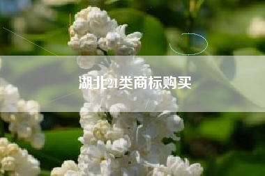 湖北21类商标购买