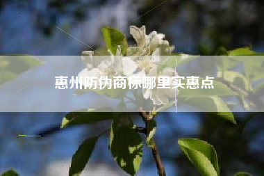 惠州防伪商标哪里实惠点