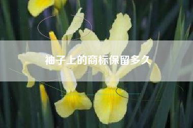 袖子上的商标保留多久
