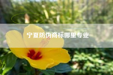 宁夏防伪商标哪里专业