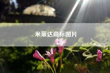 米莱达商标图片