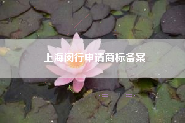 上海闵行申请商标备案