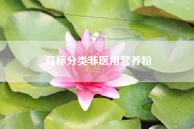 商标分类非医用营养粉