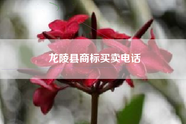 龙陵县商标买卖电话