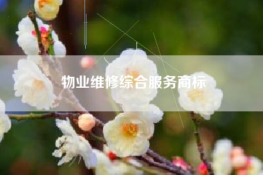 物业维修综合服务商标
