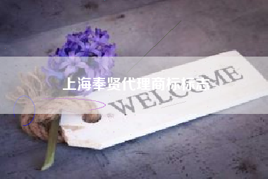 上海奉贤代理商标标志
