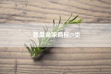 营盘渔家商标29类