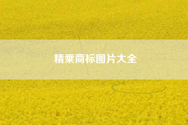 精乘商标图片大全