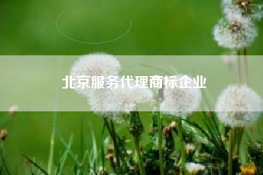 北京服务代理商标企业