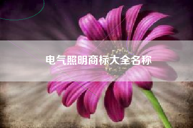 电气照明商标大全名称 电气照明商标大全名称