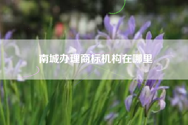 南城办理商标机构在哪里