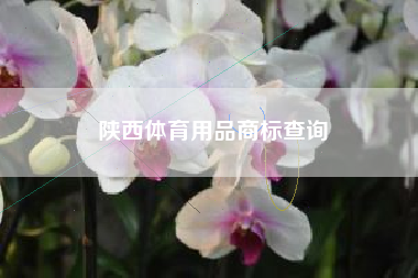陕西体育用品商标查询