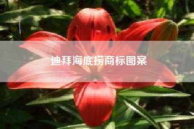 迪拜海底捞商标图案