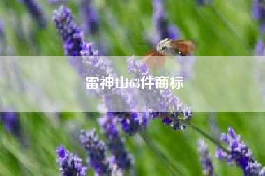 雷神山63件商标